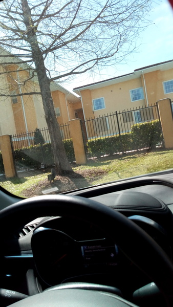 Image showing the sunny day taken from inside the car before starting journey